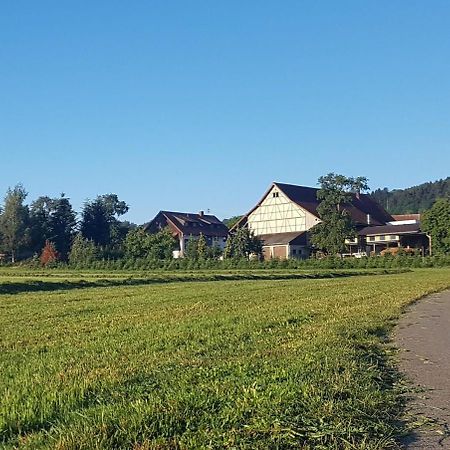 윌헴스돌프 Ferienhof Hanssler 아파트 외부 사진