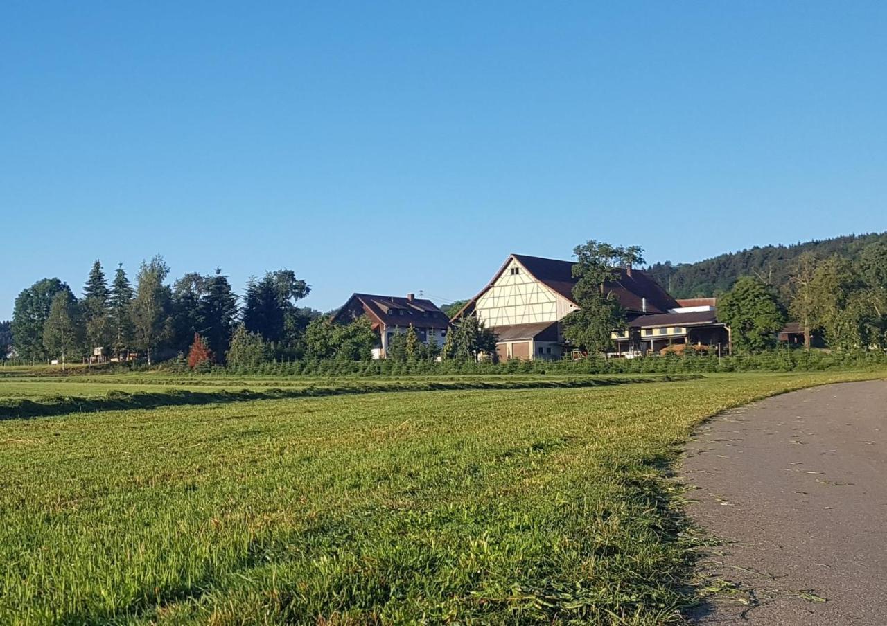 윌헴스돌프 Ferienhof Hanssler 아파트 외부 사진